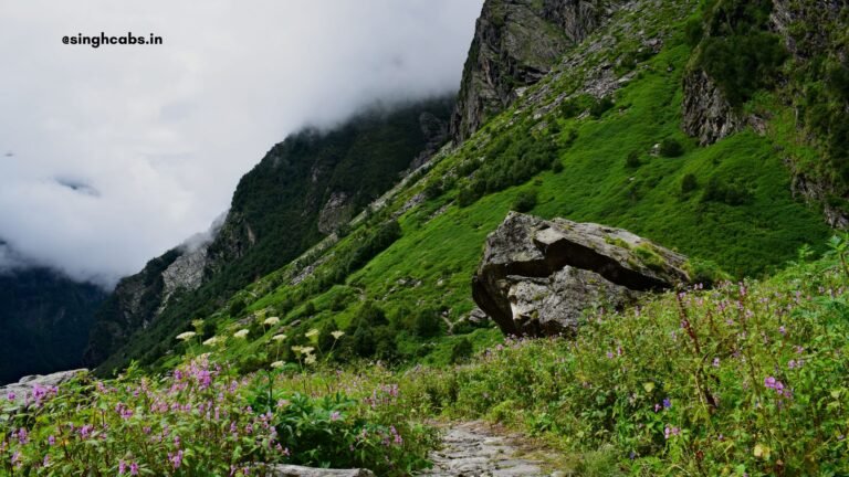 Valley of Flowers