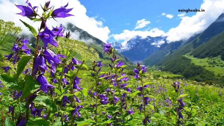 Which city is near Valley of Flowers Uttarakhand