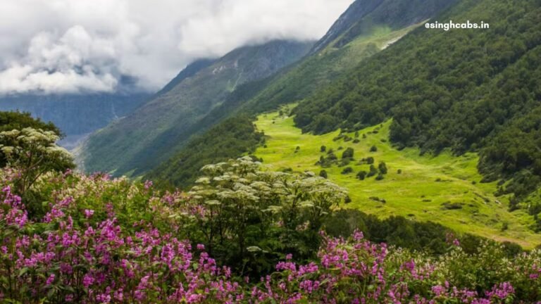 Which is the best time to visit the Valley of Flowers